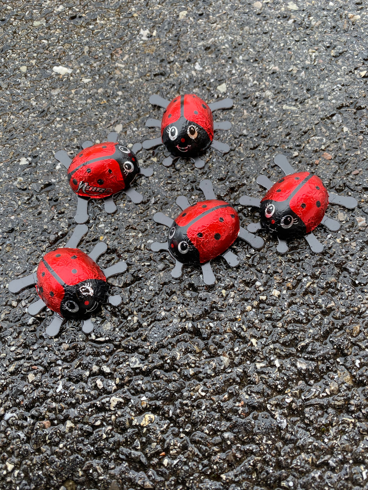 munz schokoladen glueckskaefer auf der strasse