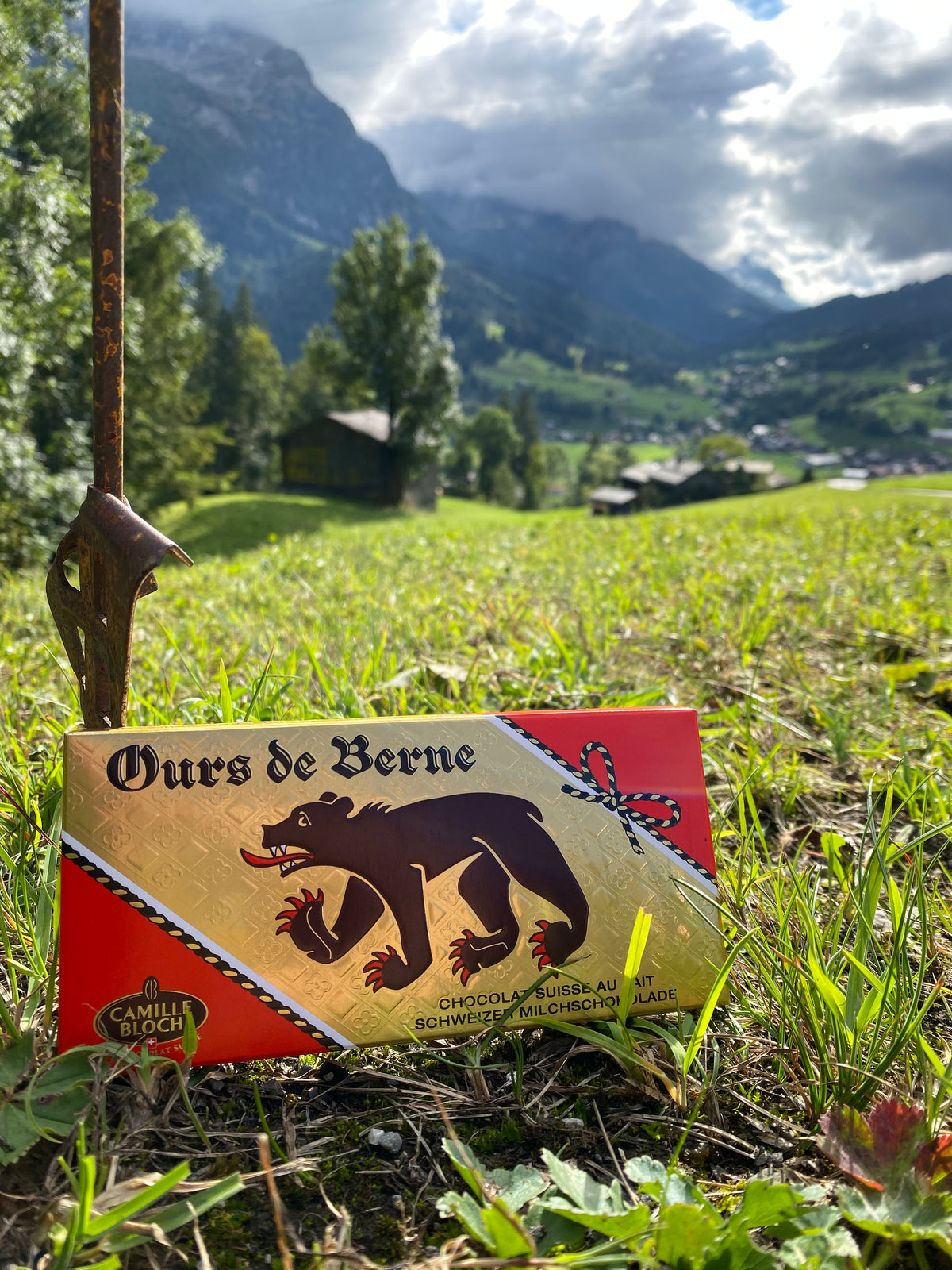 camille bloch schokolade ours de berne auf bergwiese im saanenland